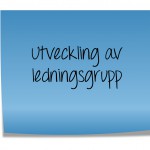 Utveckling av ledningsgrupp