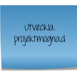 utveckla projektmognad